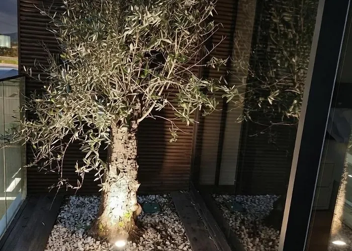 Mary Joe Apartamento Ponta Delgada